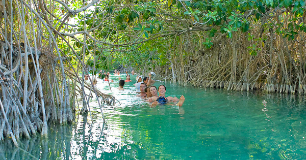 Sian Kaan Biosphere Reserve floating tour