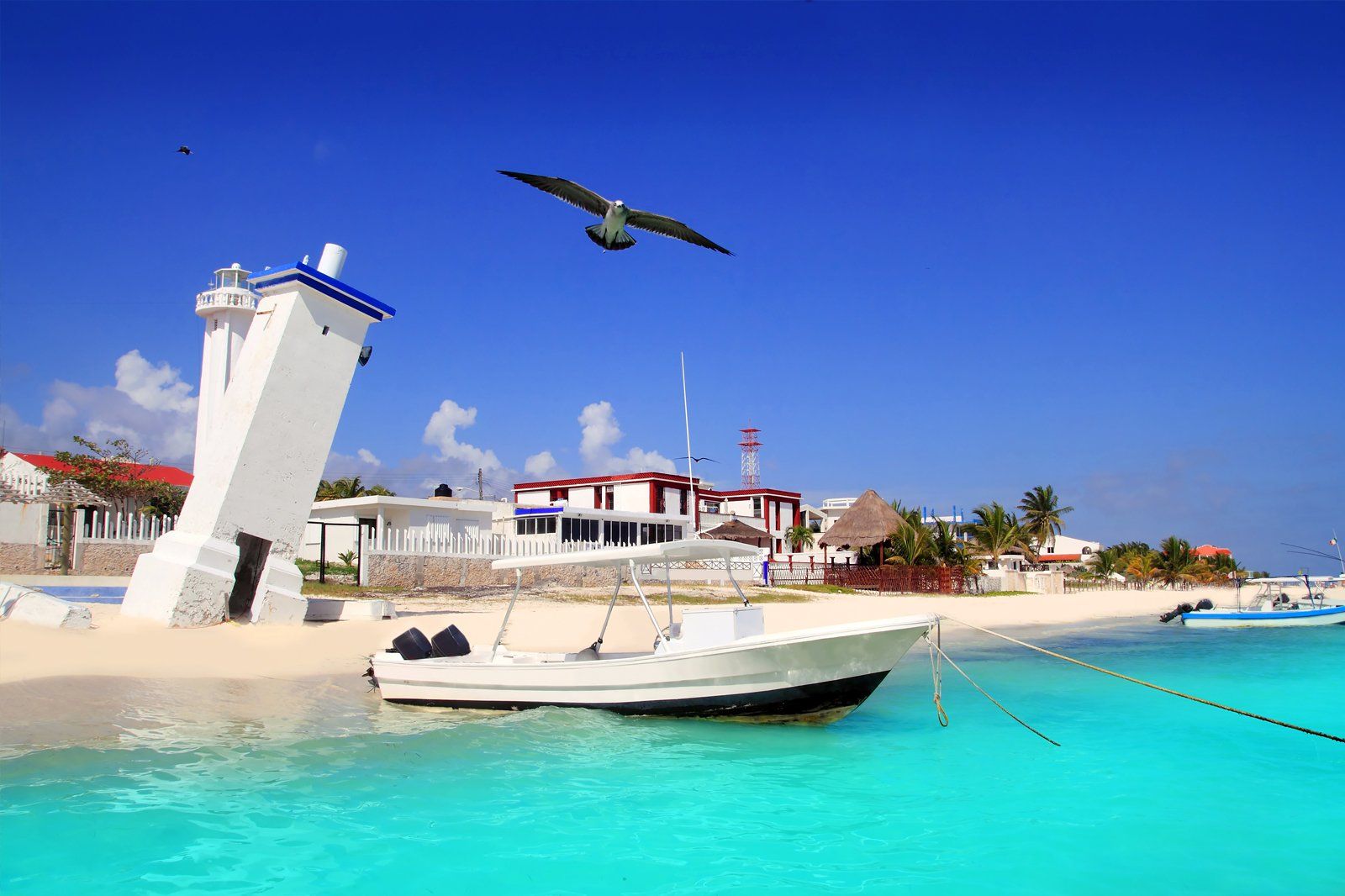 Private transportation from Puerto Morelos to Cancun International Airport